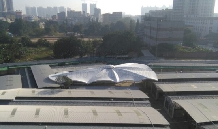 化州商業(yè)街景觀膜結(jié)構(gòu)雨棚-燁興膜結(jié)構(gòu) 化州商業(yè)街景觀膜結(jié)構(gòu)雨棚.jpg