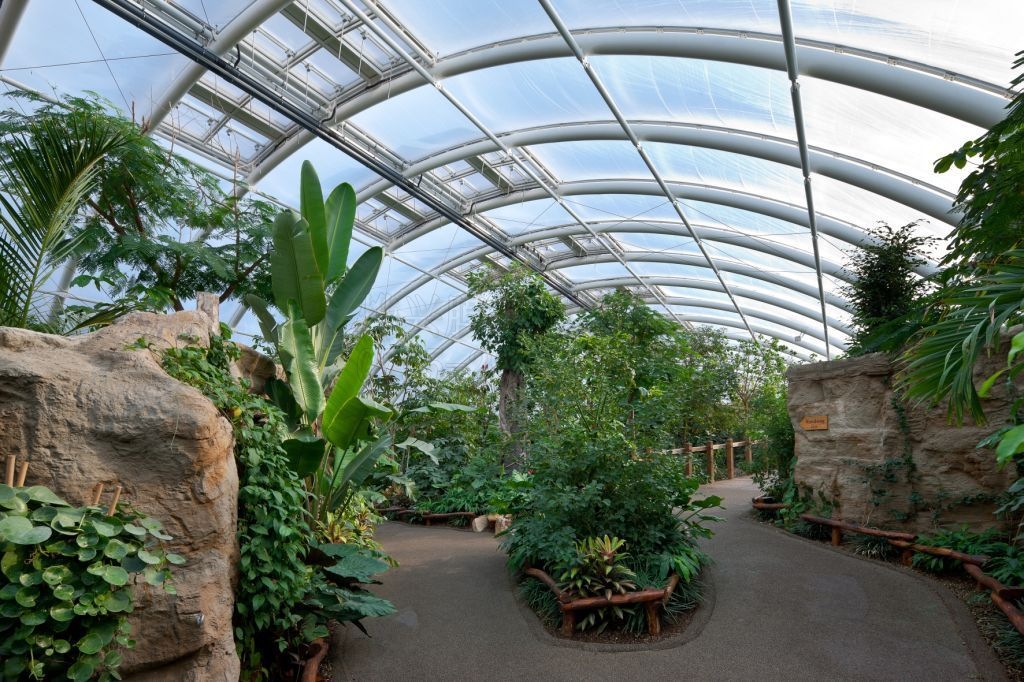 ETFE膜結構作品塑造出的價值